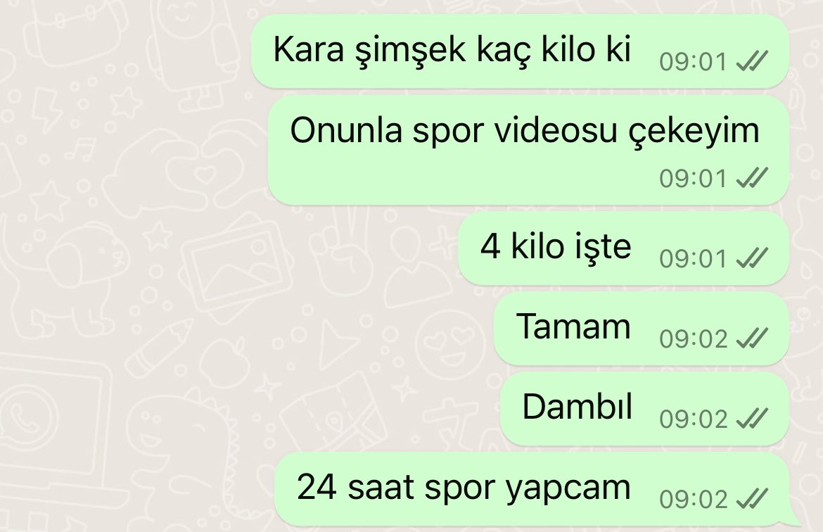 Ansızın gelen kedimi özledim krizi..