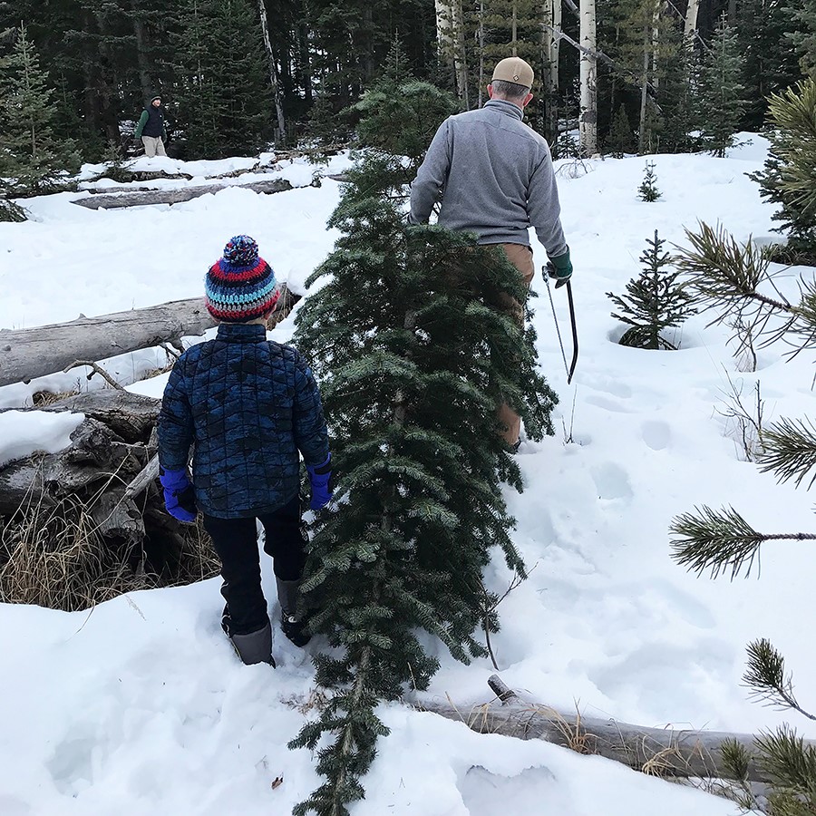Christmas tree permits for Canyon Lakes and Sulphur Ranger Districts go on sale 8 a.m. November 8 online at recreation.gov/tree-permits/2… and through local vendors in Grand County.

Learn more about cutting your own Christmas tree - fs.usda.gov/detailfull/arp…