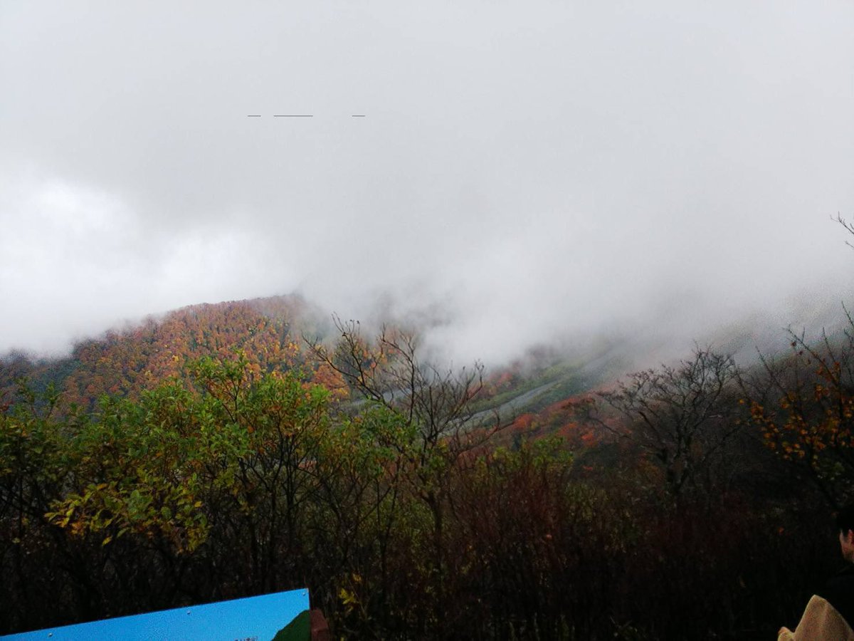 mayo_miso_'s tweet photo. 登山始めたよー！と兄から鳥取の大山の写真🍁
帽子は暑くてすぐ脱いだとのこと笑
妹は全然登ってなくて焦るけど、嬉しいよ兄ちゃん♪ https://t.co/EpKzcRS6MX