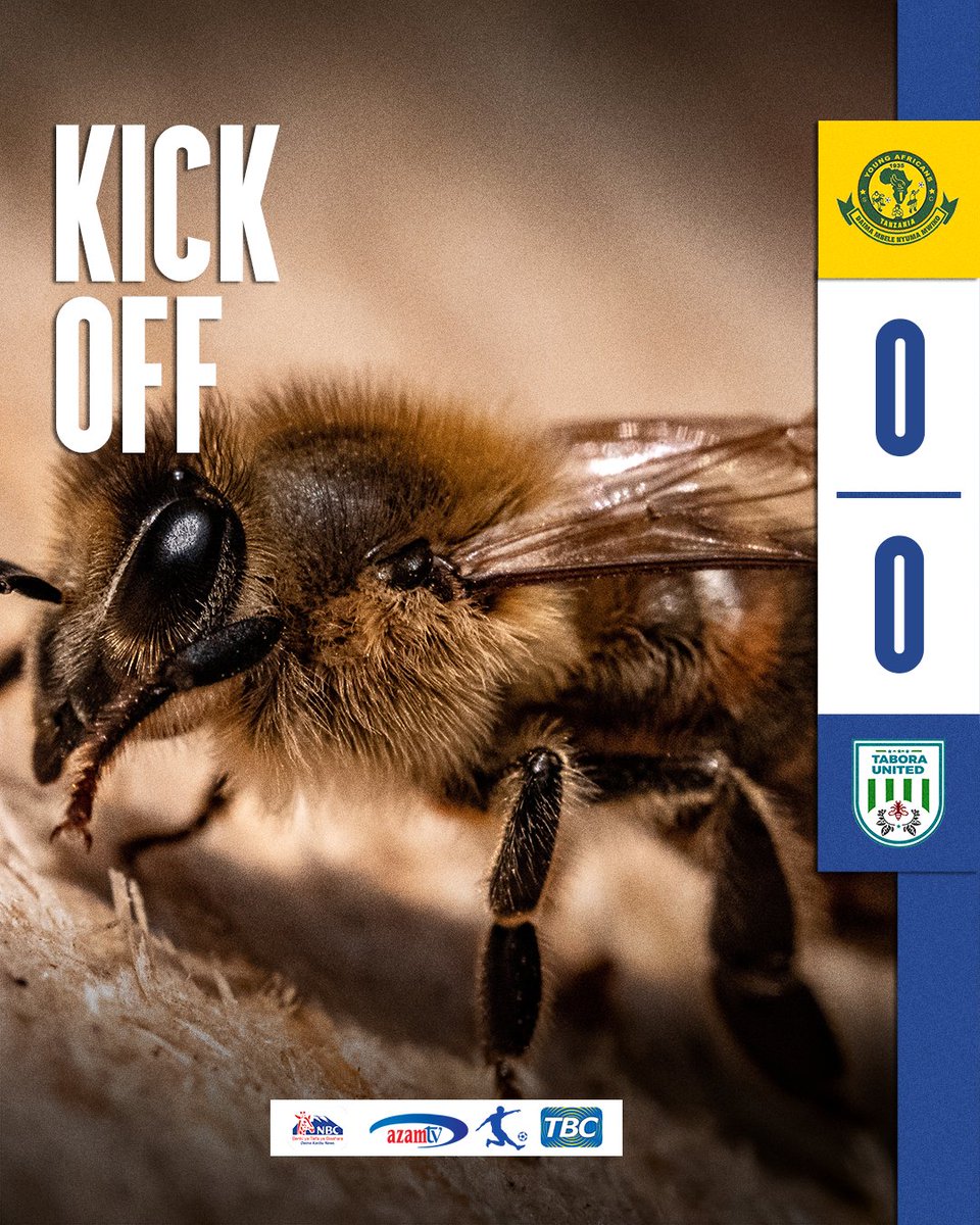 taboraunitedfc's tweet photo. #BeeOff⏰

Mchezo umeshaanza tayari hapa uwanja wa Azam Complex, Dar.

Come on, Let's do this Bees🐝💪 

#WeAreBees💙🤍 | #BeeVenom♌ | #NyukiWaTabora🐝™ https://t.co/AeT2bit5mB