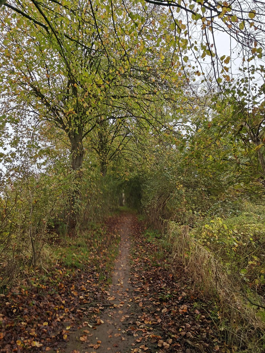 pstalenh's tweet photo. Driemaal is scheepsrecht even de IJssel over voor #Trage #Tocht Steenderen. Heerlijk #wandelen langs #water en #weiland! @tragetochten https://t.co/sbxeu2oFSr