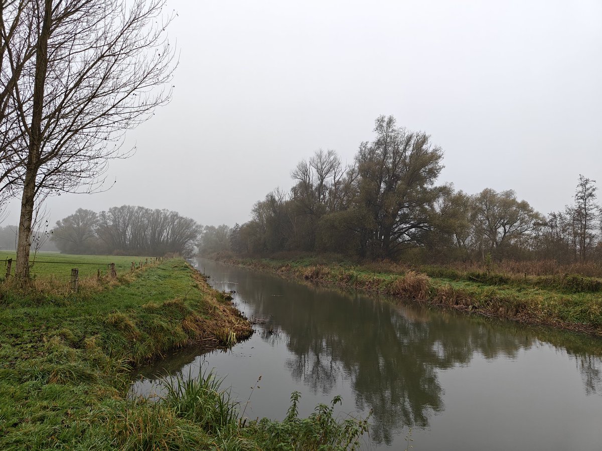 pstalenh's tweet photo. Driemaal is scheepsrecht even de IJssel over voor #Trage #Tocht Steenderen. Heerlijk #wandelen langs #water en #weiland! @tragetochten https://t.co/sbxeu2oFSr
