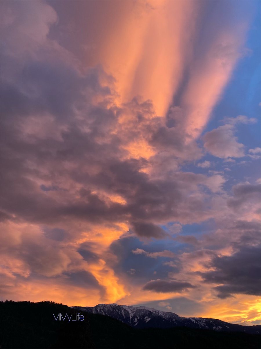 ManuelaMravlak's tweet photo. My path is full of blessings…💙

#NaturePhotography #Millstatt #Austria 🇦🇹
@StormHour @ThePhotoHour ☁️ 
#NatureBeauty #MountainLover 🏔️ 
#ThursdayFeeling #ThursdayMood 🌄💗🧡🩵 https://t.co/cMdgLa87uL