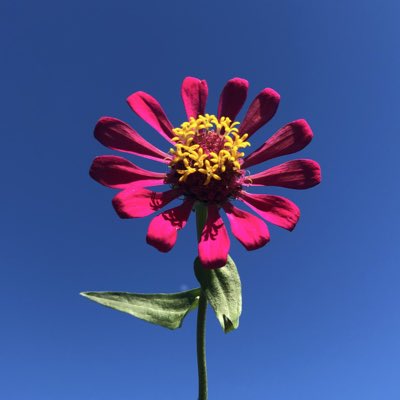 #NewProfilePic
