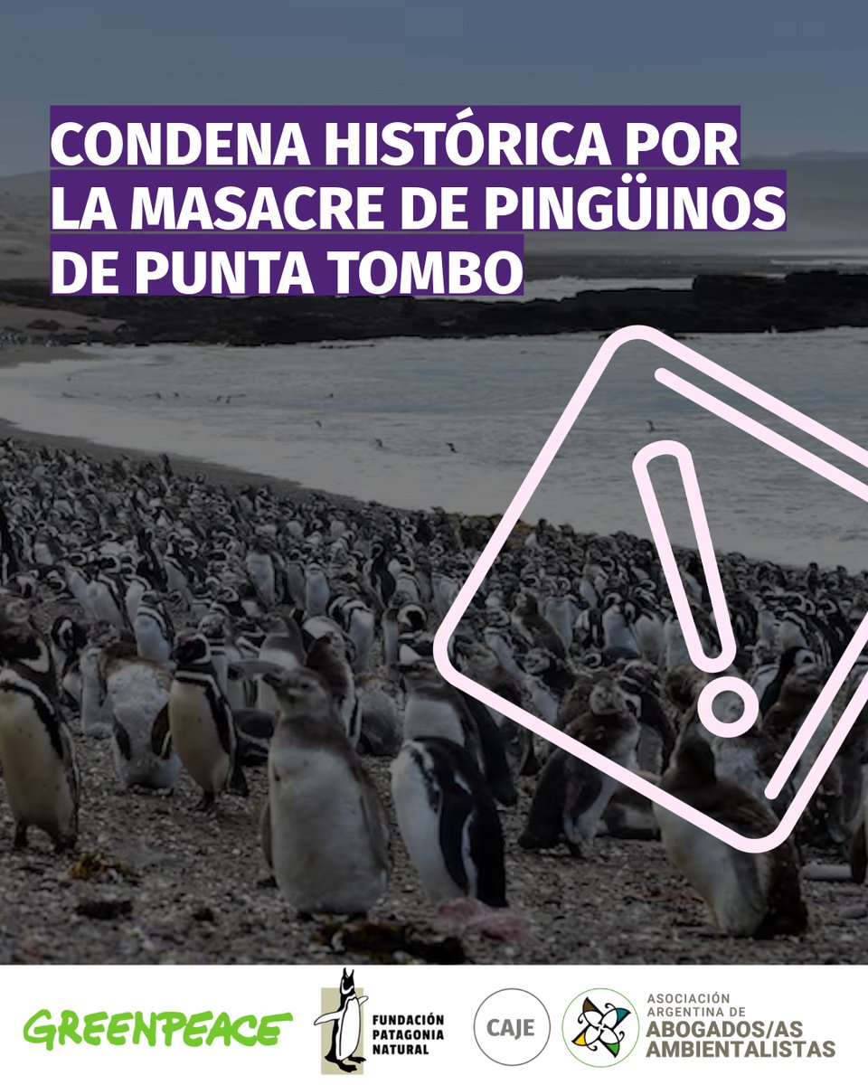 ✊🏼🐧 HISTÓRICO VEREDICTO EN LA CAUSA DE LOS PINGÜINOS DE PUNTA TOMBO

⚖ En veredicto sin precedentes, la justicia encontró culpable al acusado de de daño ambiental agravado y crueldad animal. Queda pendiente que emitan la sentencia y determinen la pena. 

aadeaa.org/veredicto-punt…