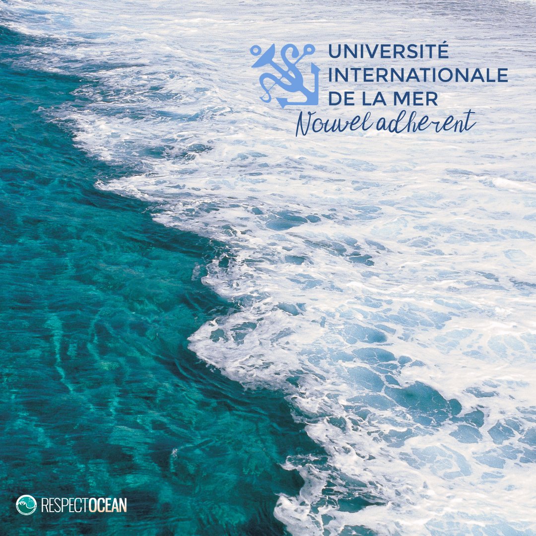 RespectOcean 🌊 tweet media