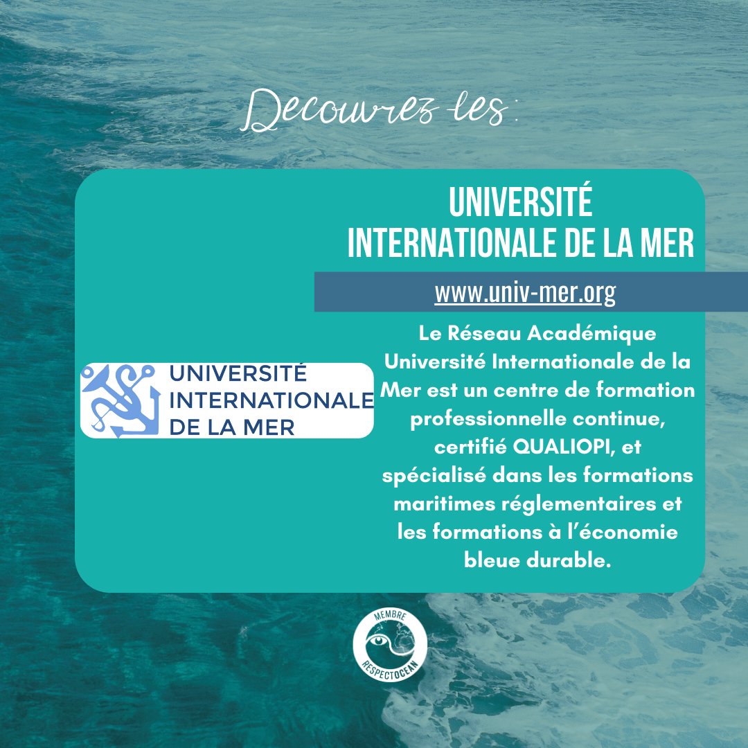 RespectOcean 🌊 tweet media