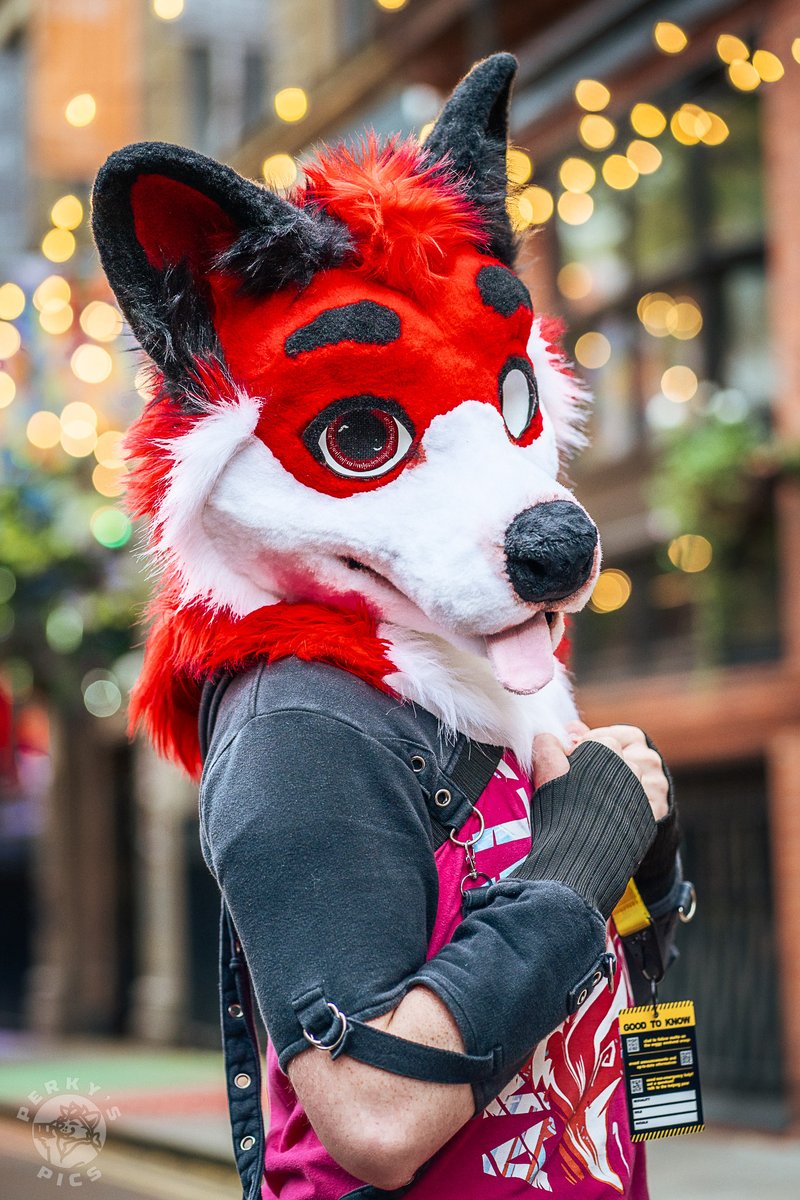 Also some LOVELY portraits of <a href="/MeekoTooth/">Meeko</a> and <a href="/JoeyFoxo/">Joey</a>