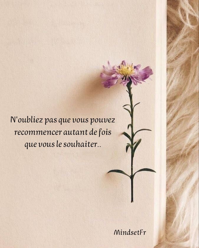 Mindset_FR's tweet photo. Ne l’oublie pas ! https://t.co/NJFc4wbFhp