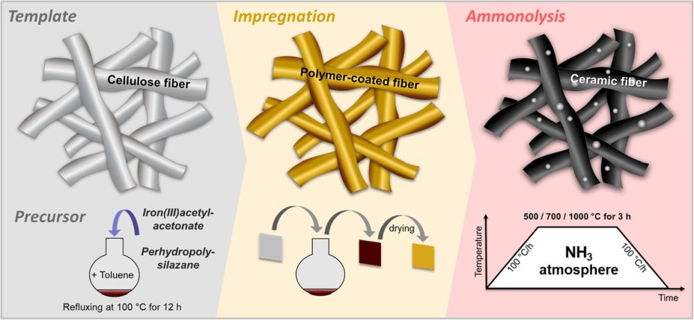 An upcoming special issue of JACerS will focus on preceramic polymers. The call for papers for this special issue is open until Saturday, Feb. 1, 2025. ceramics.org/acers-spotligh…