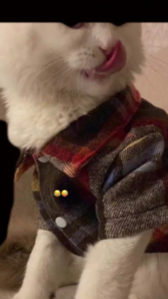 اليمامه 🕊💌 tweet media