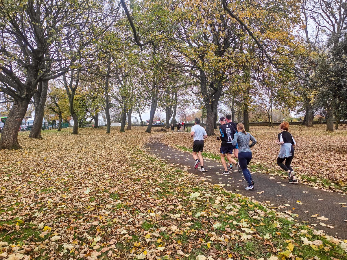 Running Seeds - Rich Warren tweet media