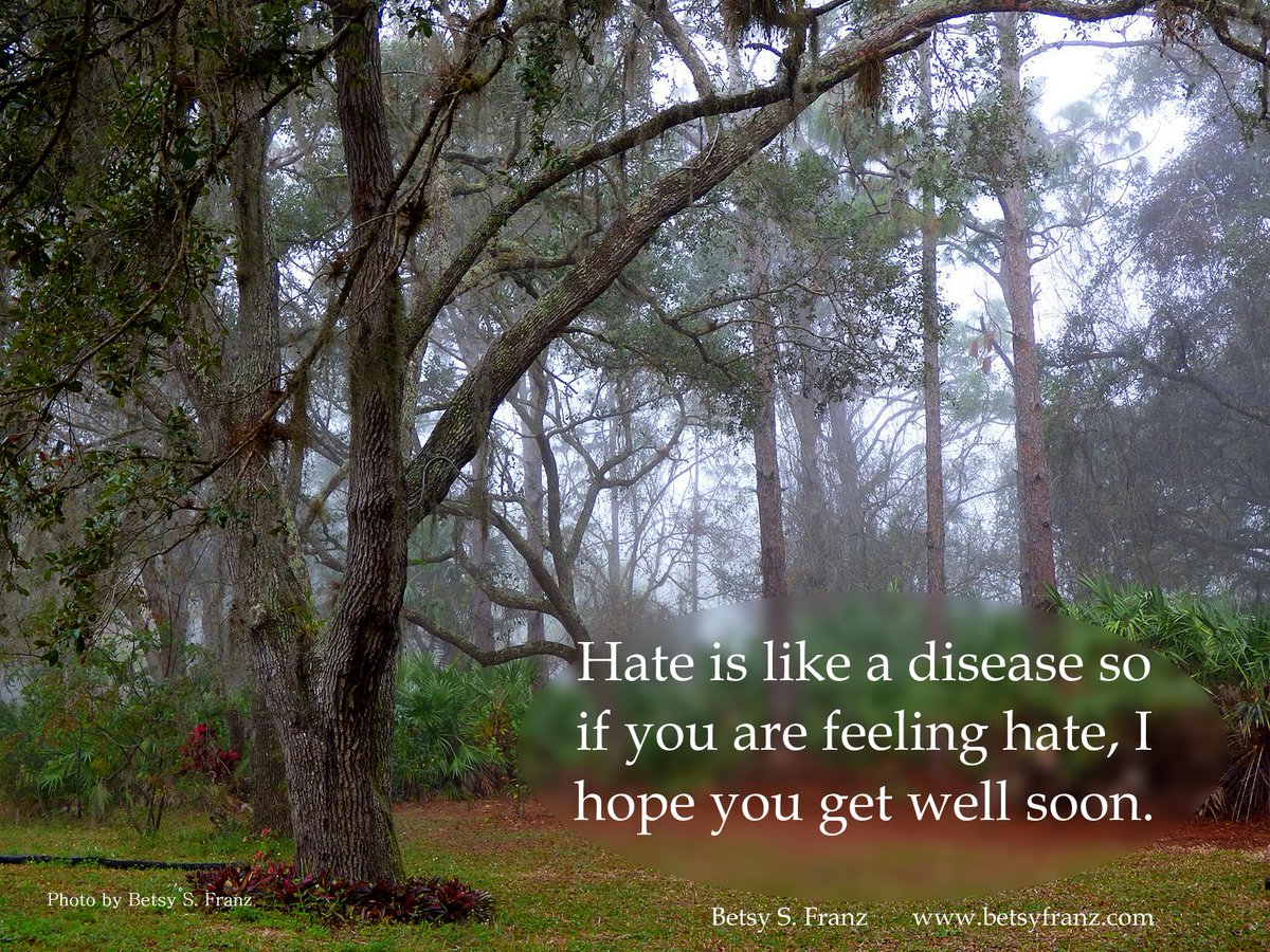 Betsy Franz (@backyarder1) on Twitter photo 