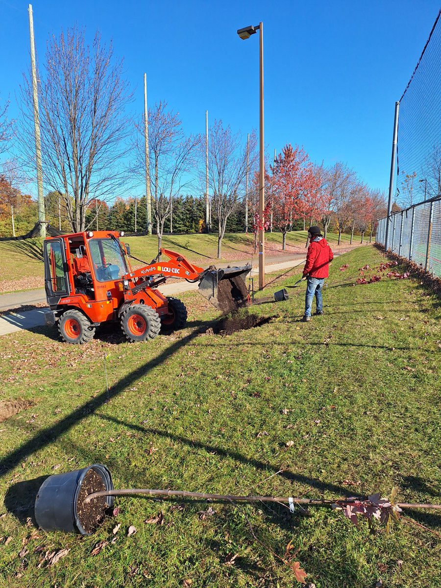 Chaire de recherche CRAUM (@chairecraum) on Twitter photo Nous avons finaliser la plantation des arbres pour le projet pancanadien sur l'atténuation des GES des sols urbains grâce au #biochar soutenu par le <a href="/CRSNG_NSERC/">CRSNG / NSERC</a>🇨🇦Merci à Collectif Canopée !🌳 <a href="/CEF_CFR/">CEF_CFR</a> <a href="/ffggulaval/">Foresterie, géographie et géomatique ULaval</a> <a href="/villequebec/">Ville de Québec</a> <a href="/cityoftoronto/">City of Toronto 🇨🇦</a> <a href="/CityofEdmonton/">City of Edmonton</a> <a href="/UofTDaniels/">Daniels Faculty</a> <a href="/UAlberta/">University of Alberta</a> Nous avons finaliser la plantation des arbres pour le projet pancanadien sur l'atténuation des GES des sols urbains grâce au #biochar soutenu par le <a href="/CRSNG_NSERC/">CRSNG / NSERC</a>🇨🇦Merci à Collectif Canopée !🌳 <a href="/CEF_CFR/">CEF_CFR</a> <a href="/ffggulaval/">Foresterie, géographie et géomatique ULaval</a> <a href="/villequebec/">Ville de Québec</a> <a href="/cityoftoronto/">City of Toronto 🇨🇦</a> <a href="/CityofEdmonton/">City of Edmonton</a> <a href="/UofTDaniels/">Daniels Faculty</a> <a href="/UAlberta/">University of Alberta</a>