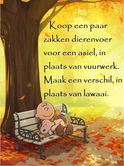 cmfuentez's tweet image. 