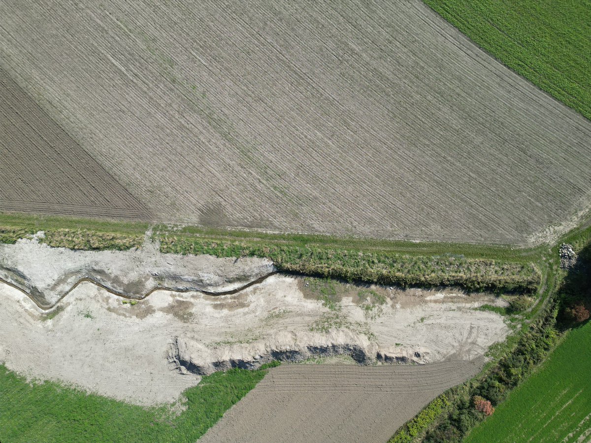 Vi planter træer på Brinkholm – kom og vær med!
Her i efteråret har vi haft gang i et fantastisk naturprojekt på Brinkholm nemlig genslyngningen af Storkebækken, som løber ud i Tryggevælde Å.
Det foregår tirsdag den 19. november kl. 10. Tilmelding på: info@andelsgaarde