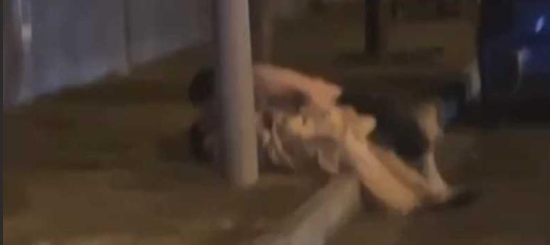 sgvwthhy's tweet photo. 瓜友投稿：广西柳州醉酒女子路边被强暴 路人拍下全过程 现场无码原视频流出 女子被侵犯后自杀！曝光视频！！！！现在有了，刚刚才拿到的资源。观看入口：https://t.co/3CIoQijYfu，137611 #柳州妹子真实长相 #柳兴路屏山大道捡尸户外性爱 https://t.co/nxzXq3WqAE