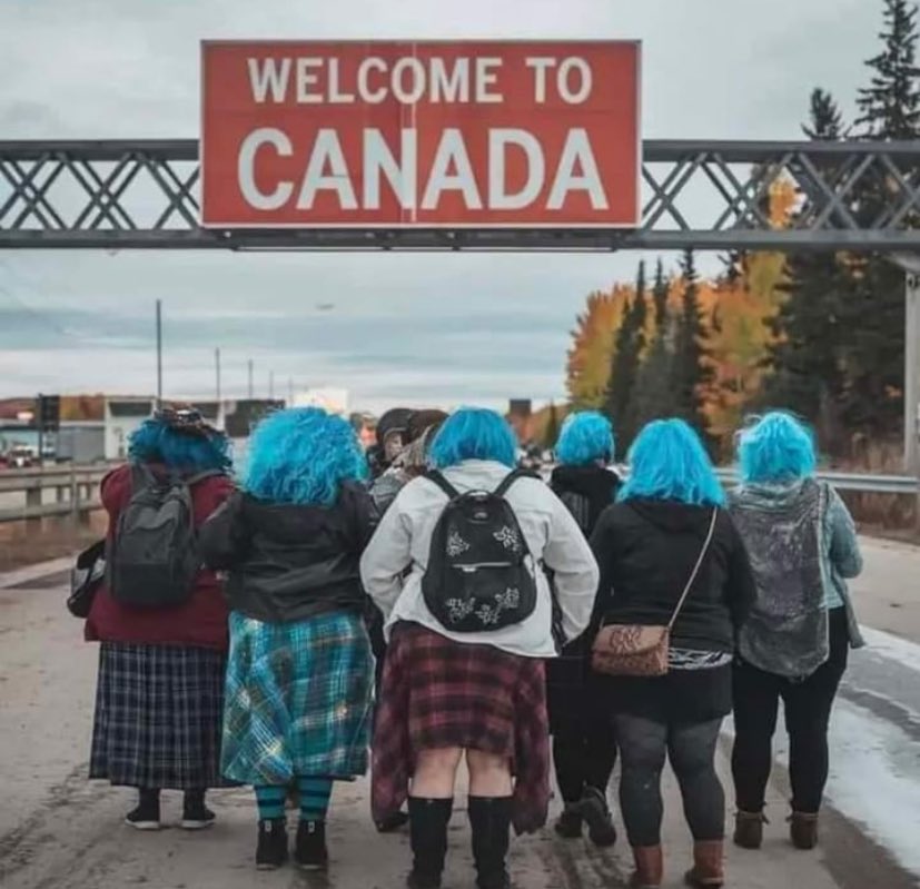 The great emigration of 2024 😂