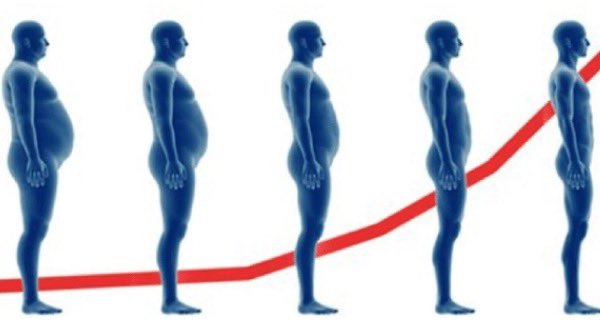Chace Chambers (@chamberoffit) on Twitter photo Harsh truth:
No matter how much you exercise, you won’t lose fat until you fix your diet.
But most people don’t realize there are simple ways to enhance results.
Here are 10 cheat codes that will help make your fat loss easier: Harsh truth:
No matter how much you exercise, you won’t lose fat until you fix your diet.
But most people don’t realize there are simple ways to enhance results.
Here are 10 cheat codes that will help make your fat loss easier: