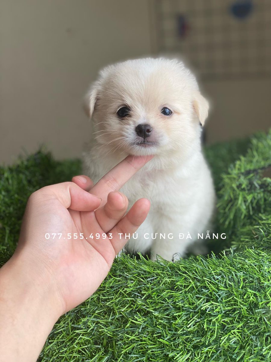 jerbi.faouzi tweet media