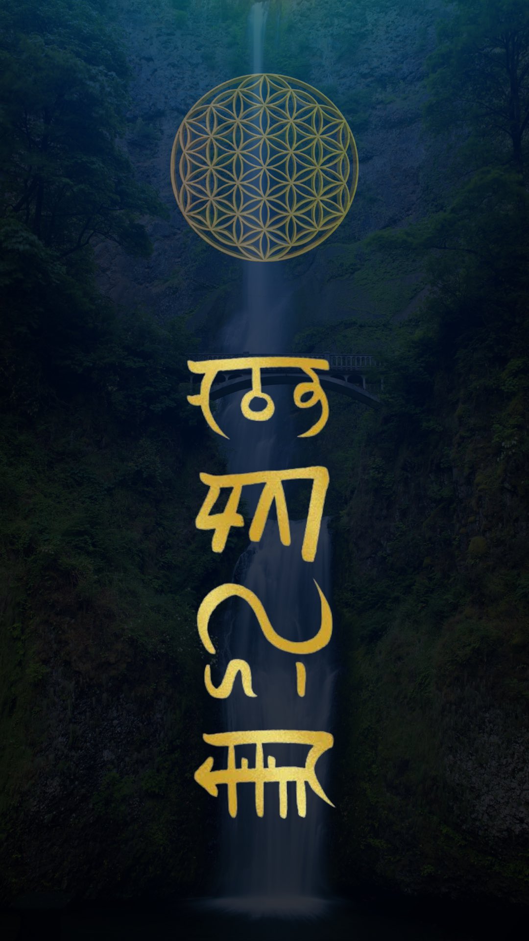 龍 体 文字 金 運