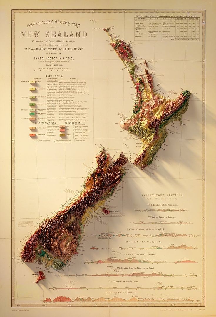 New Zealand 🇳🇿