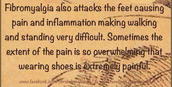 Fibro Bloggers tweet media