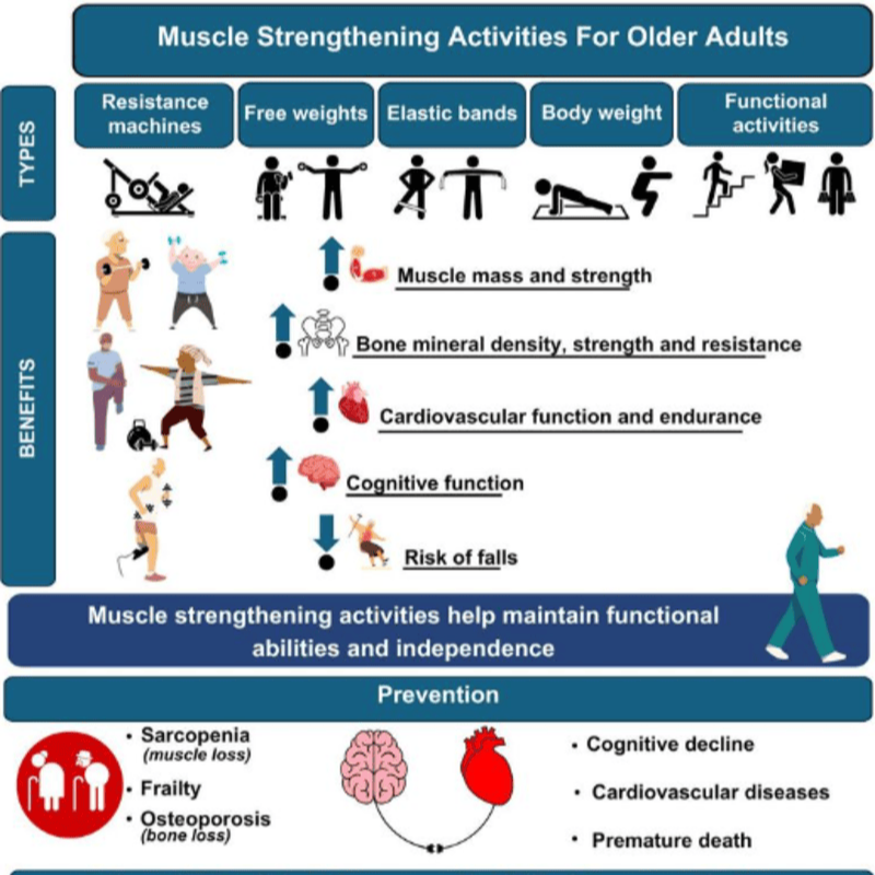 BJSM_BMJ's tweet photo. 🚨 NEW #Infographic❗️

Muscle-strengthening exercise for older adults: a critical strategy for maintaining health and independence 💪 ✅

Full article ➡️ https://t.co/YS2aZJKoZU