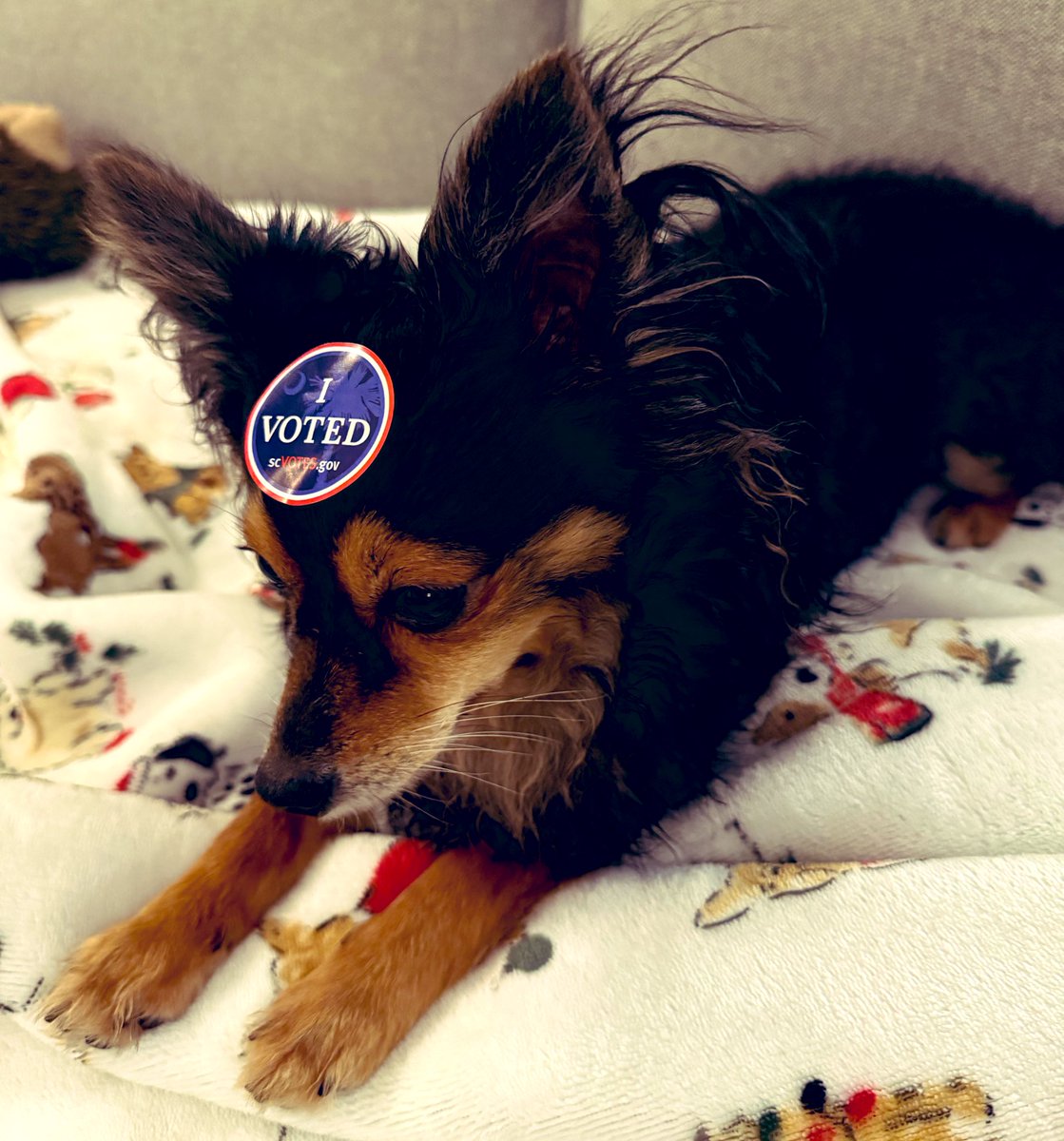 As reflect on what comes next for the country, let’s remember: 

“Collective freedom is impossible
without interpersonal repair.
. . . Repair what you helped break.
Restore what responsibly loved you.
And revise, revise, revise.”

(Laymon, 2021, p. 972) #together