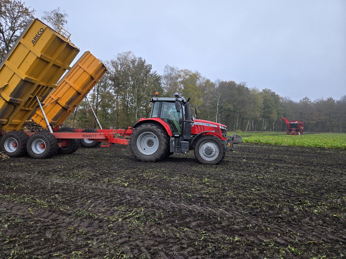jrdejongodoorn's tweet image. De eerste suikerbieten gerooid. #akker