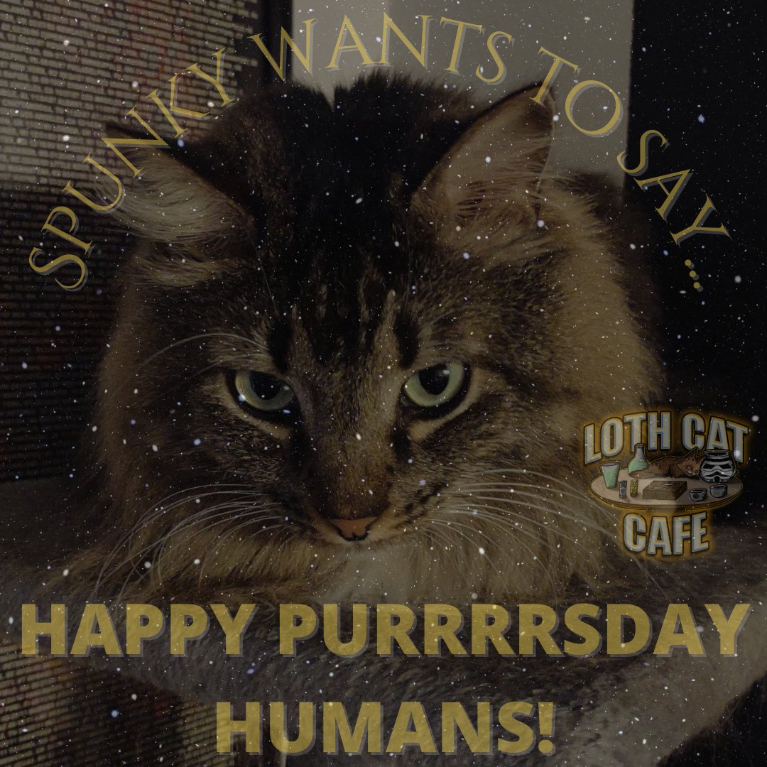 Happy Purrrrsday everyone from Spunky!

#Starwars #Swtwt #lothcatlovers #lothcatoftheweek #AndorSeason2 #catsoftiktok #starwarsahsoka #catsfacebook #StarWarsOutlaws #themandalorian #kitty #kittensofinstagram #starwarsfan #starwarsnerd #starwarscelebration #StarWars #Election2024