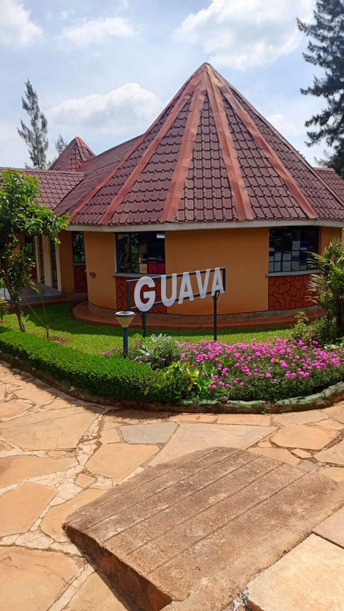 fartcoindesks's tweet photo. Shikhwakana Guava Resort Ebutere tarehe 15th November 2024 khwikhoyere emiaka 12 chia #RadioIngo ...khumake iregister bola tsa PRESENT.

#IngoFMat12 https://t.co/KG8HioH0AD