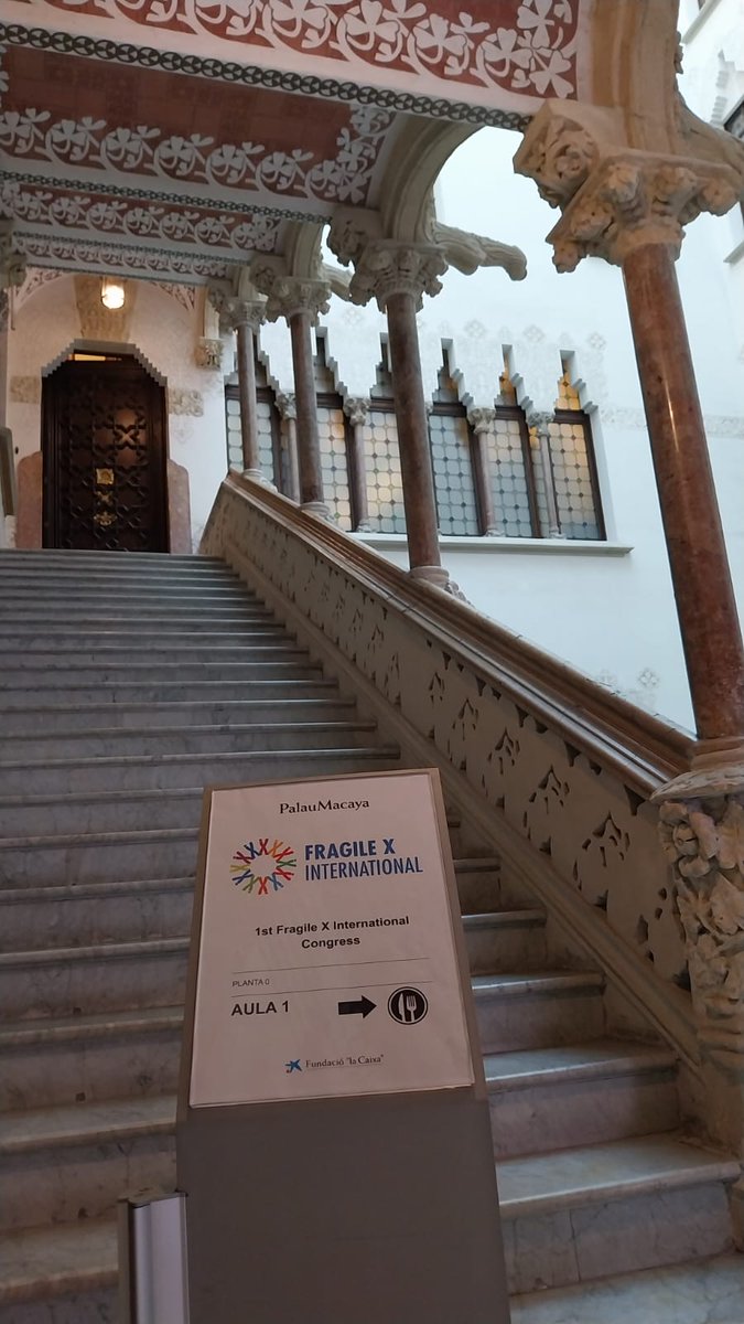 FraXI_FragileX's tweet photo. The first FraXI Congress has officially begun. A splendid venue in Barcelona hosts international Fragile X experts. This is a crucial opportunity to exchange skills and common growth. 
 https://t.co/deXWM4ilA5 
#FraXIcongress #togethermakingadifference #fragilexsyndrome https://t.co/pb87VG2Au7