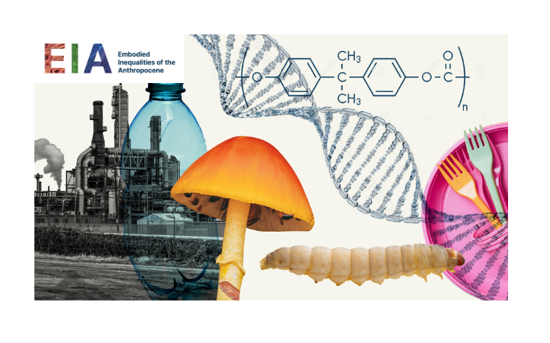Embodied Inequalities of the Anthropocene Virtual Teaching Tool

Join us to celebrate the launch  of this virtual open access teaching tool

🗓️14 November, 5-7pm, IAS Common Ground

➡️Booking required: shorturl.at/yX9cF