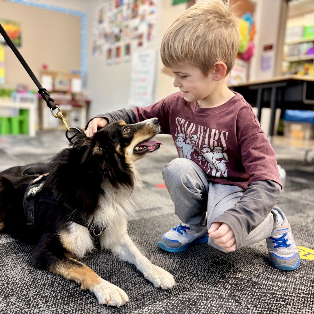 Noble Crossing students are learning about “dogs that work” this month, with visits from community safety dogs, therapy dogs, and DNR dogs trained to find invasive species!