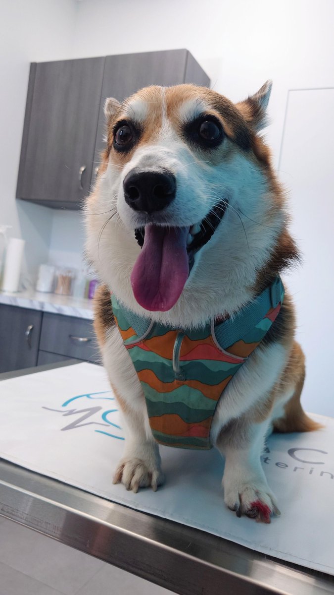 BasiaOnly's tweet image. This angle looks so ugly haha