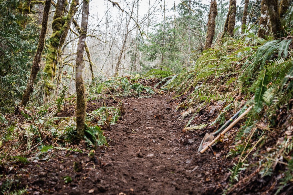 One of the questions we ask in our interviews with rogue trail builders is, "What is the process in your area for building sanctioned trails?" (what is the legal process for building sanctioned trails?)

In our latest interview with a rogue trail builder out of the Netherlands,