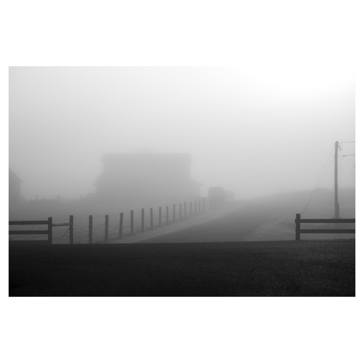 Fenceposts and fog.