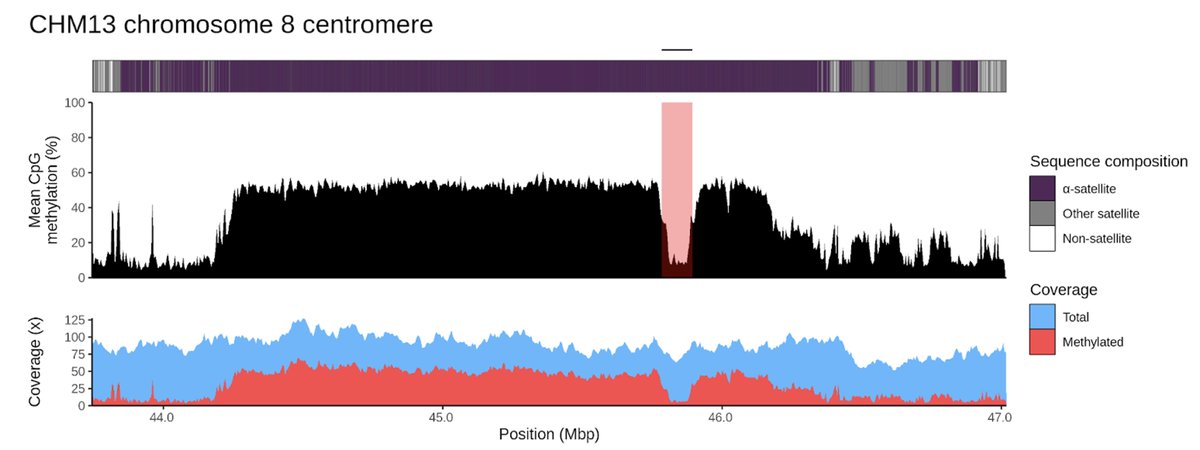 If you study centromeres and are interested in finding and visualizing the hypomethylated pockets where the kinetochore locates, check out CDR-Finder! The only inputs you need are a methyl-alignment, the centromere coordinates and your sample's assembly! biorxiv.org/content/10.110…