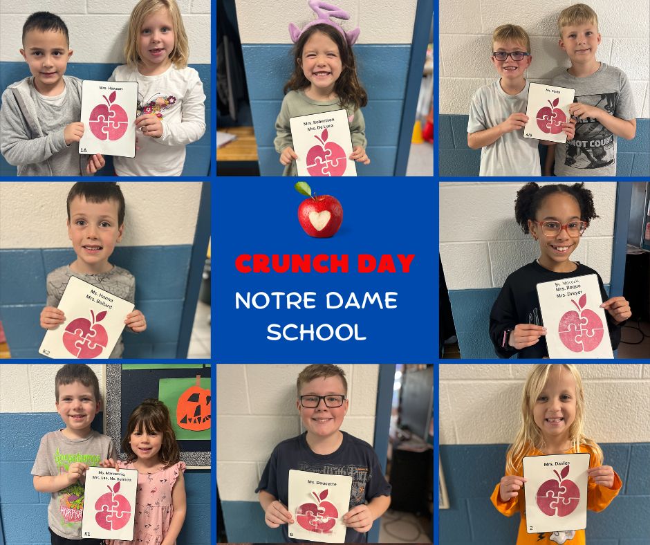 Brant Food For Thought tweet media