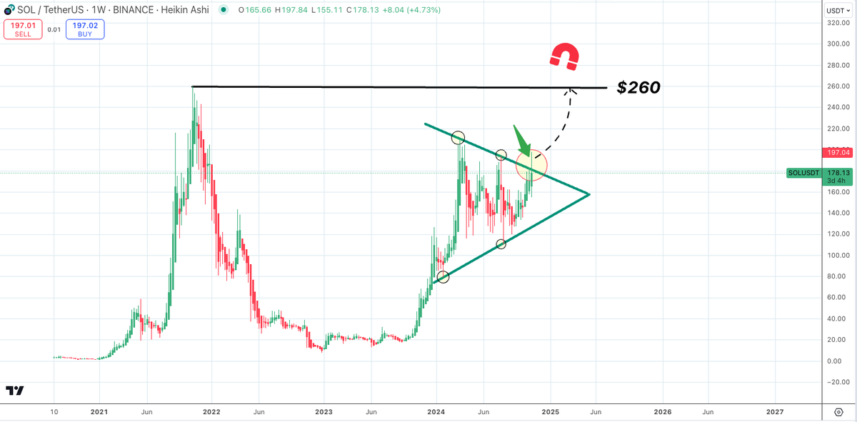 SatoshiFlipper's tweet photo. $SOL/usdt WEEKLY

$260 NEXT for $SOL on this massive pennant breakout https://t.co/0PVYYCq2DZ