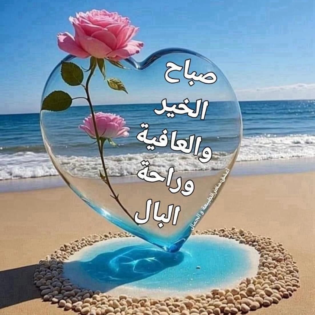 abdullahal77526's tweet photo. #صورة_ملف_شخصي_جديدة https://t.co/LoCaPIFkEC