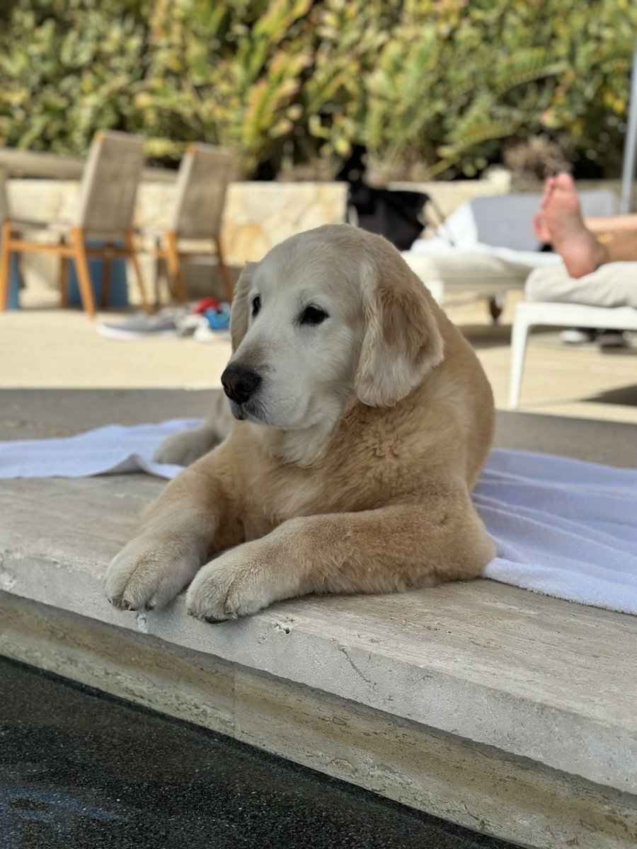 My phone hasn’t stopped ringing for the last 3 hours from texts and tweets about my boy Ben. I’m truly overwhelmed by how many people he touched-and from the bottom of my heart thank you for sending your best wishes and letting me know how much you loved him. This has been a