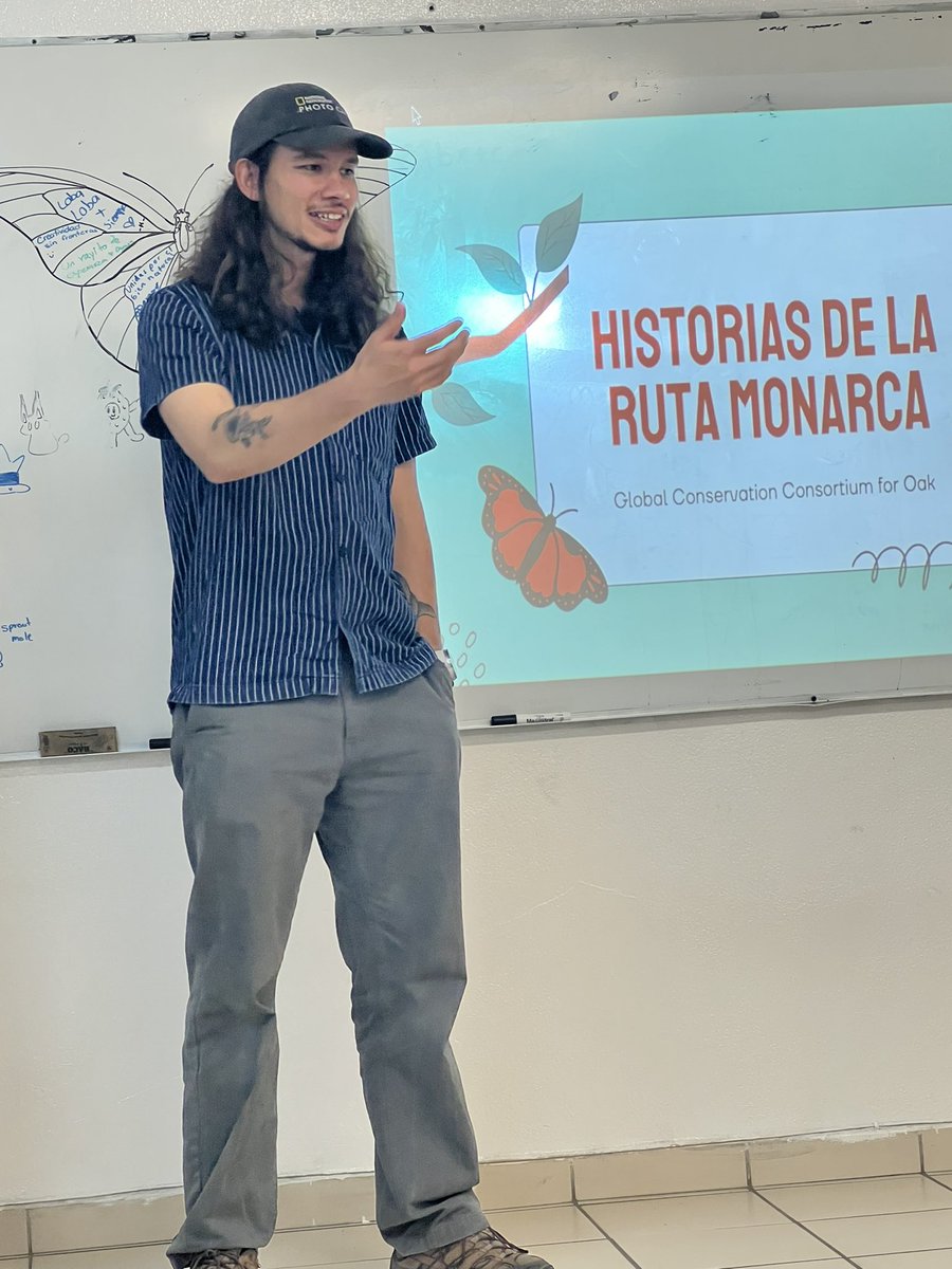 GCCO.Mexico&CA tweet media