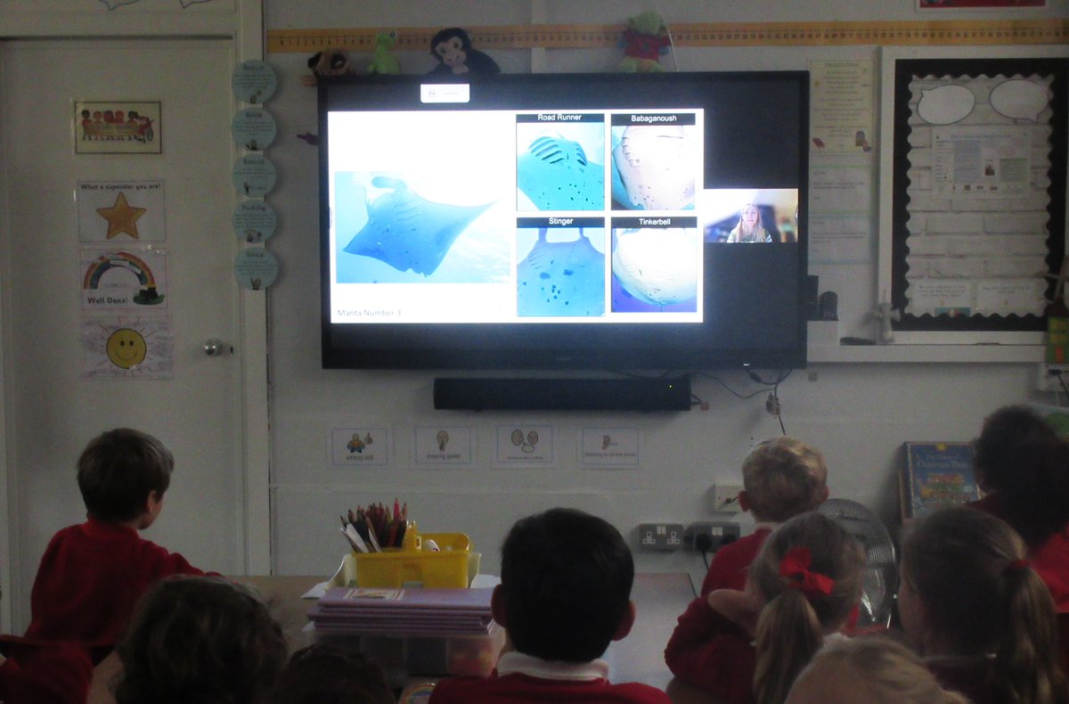 StMargaretsCEP2's tweet photo. Year 2 joined a live webinar hosted by @MantaTrust, exploring the ‘Secrets of the Ocean.’ Marine biologist Jen shared amazing facts about manta rays and the class loved the quizzes! They even had a question answered live! A highlight of #GCW2024! @STEMAmbassadors #GreenCareers https://t.co/TNwJM51N2W