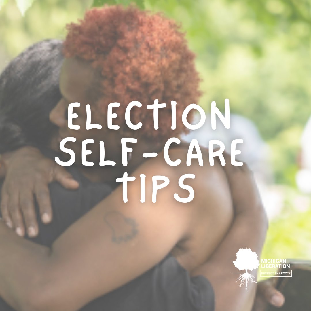 Michigan Liberation tweet media