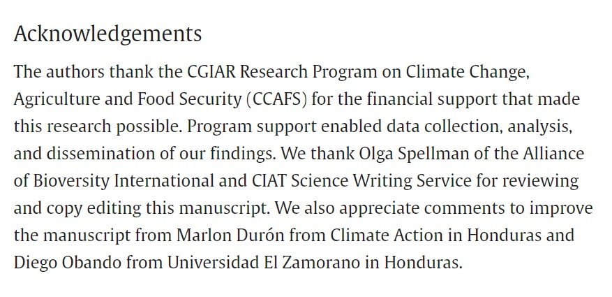 diegobando tweet media