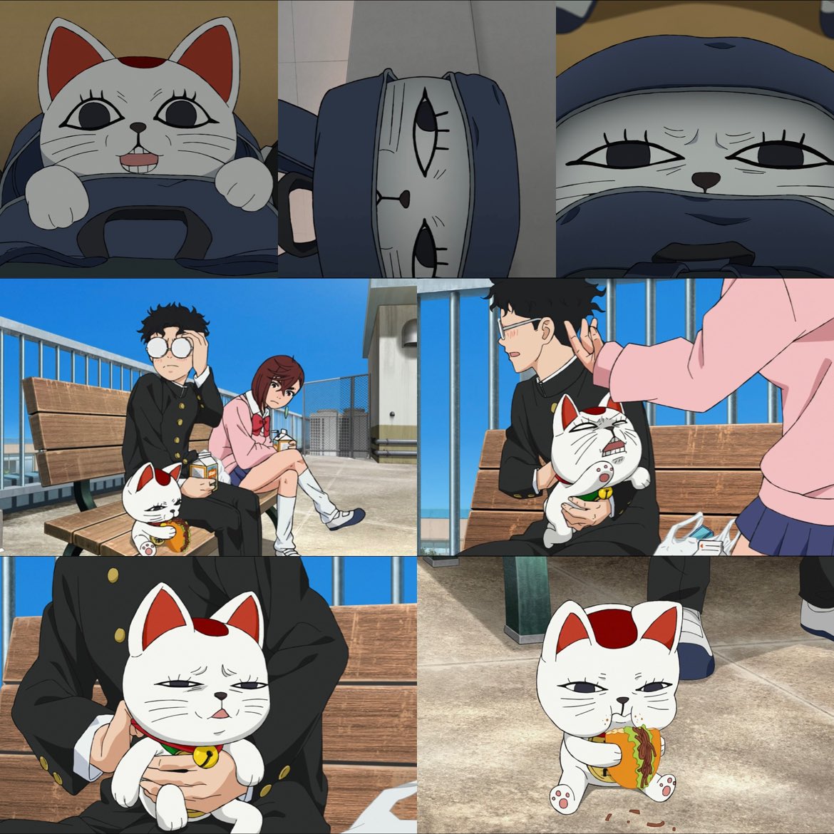 ほんと、可愛いから気に入ってしまった😁