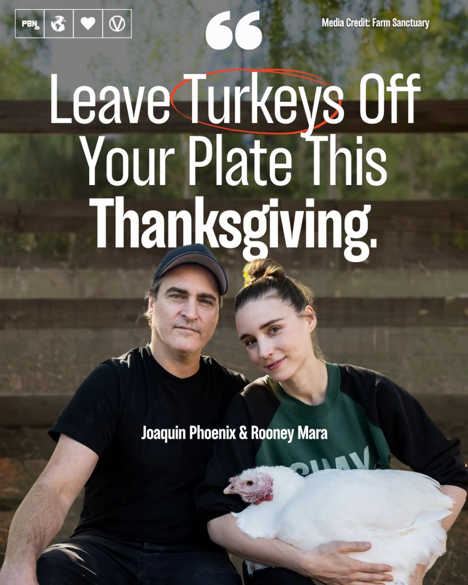 PlantBasedNews's tweet image. Leave the turkeys alone 🦃 ❤️

#thanksgiving #veganthanksgiving