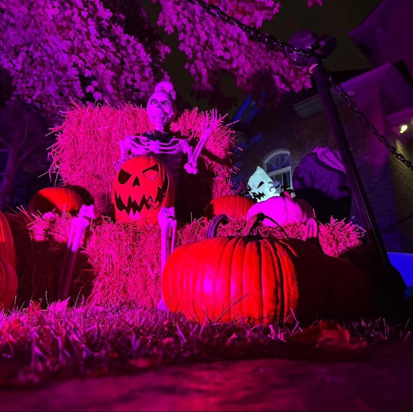 noper97's tweet photo. Halloween 2024 https://t.co/qbjhK3ooJz